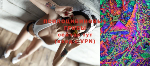 ГАЛЛЮЦИНОГЕННЫЕ ГРИБЫ Киренск