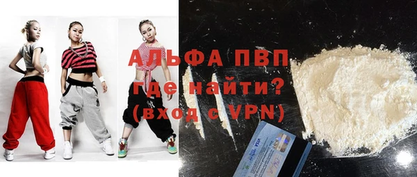 сатива Карпинск