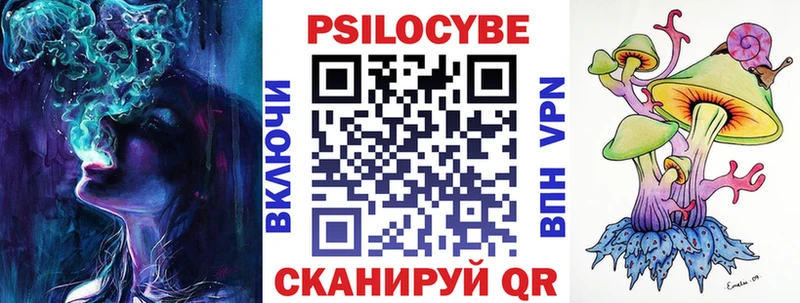 Псилоцибиновые грибы Psilocybe Купить Реутов