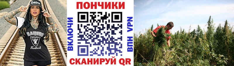 Купить закладки  Реутов  Конопля гибрид 